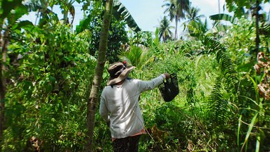 A producer walking through a green plot