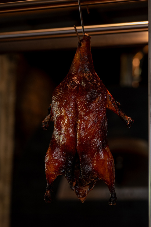 A whole roasted duck hanging by the neck near an open fire