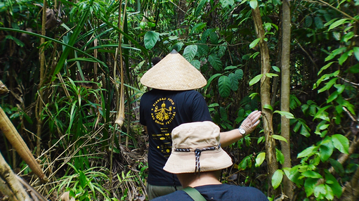 Guides leading a foraging walk through jungle growth